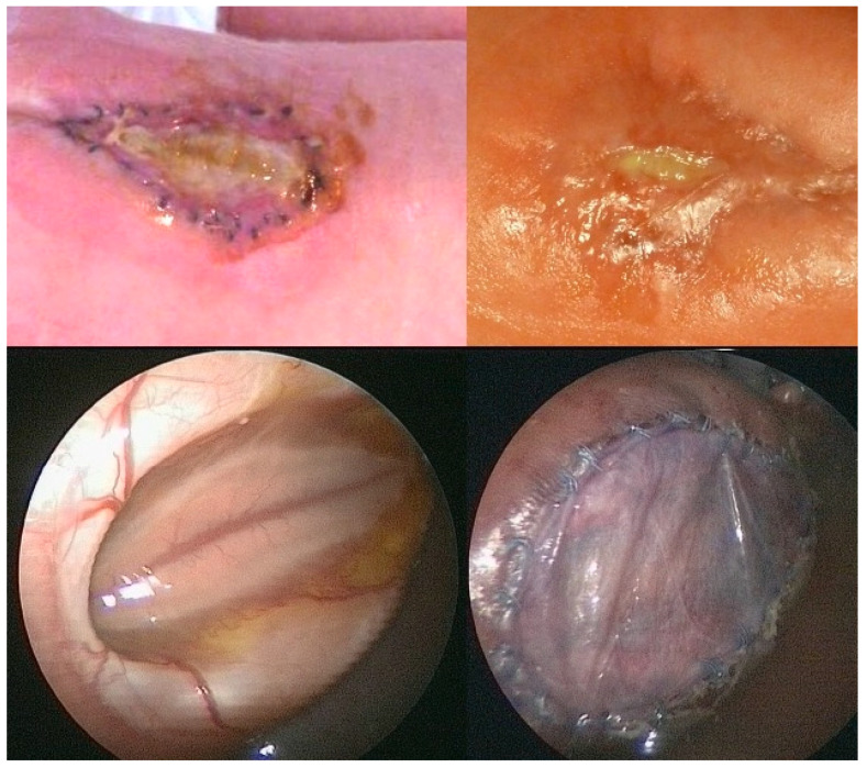 Figure 10