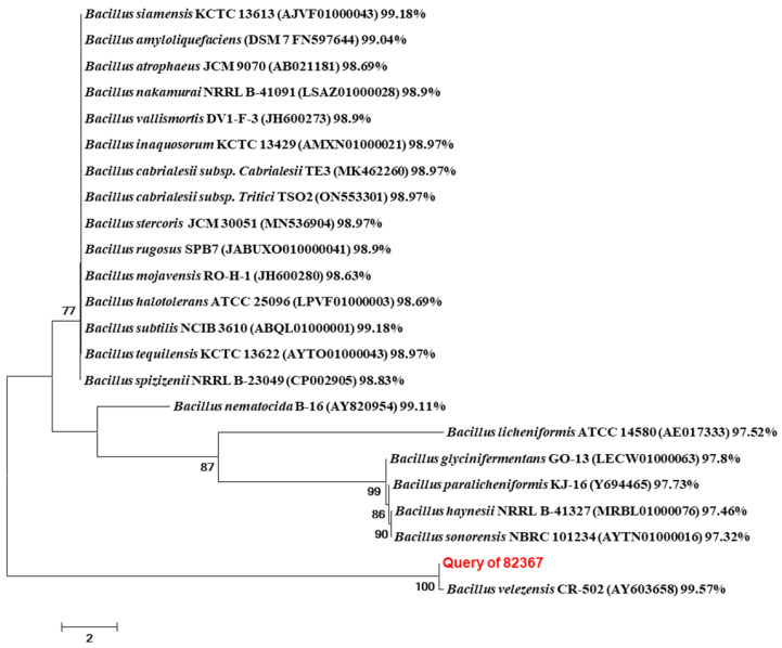 Figure 2