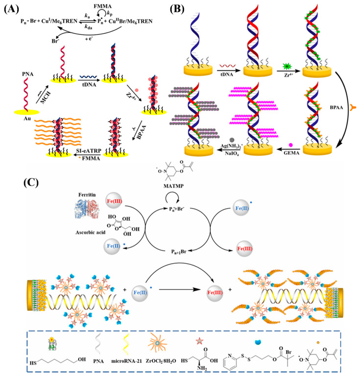 Figure 12