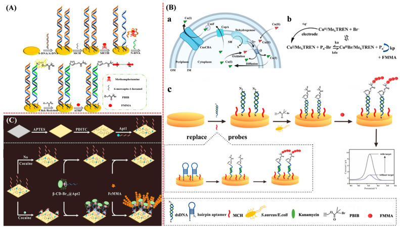 Figure 16