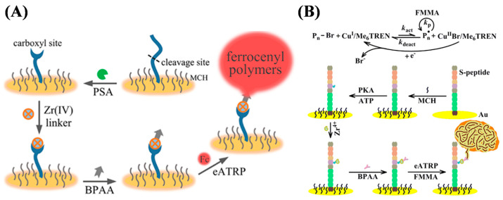 Figure 19