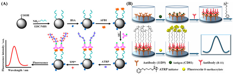 Figure 24