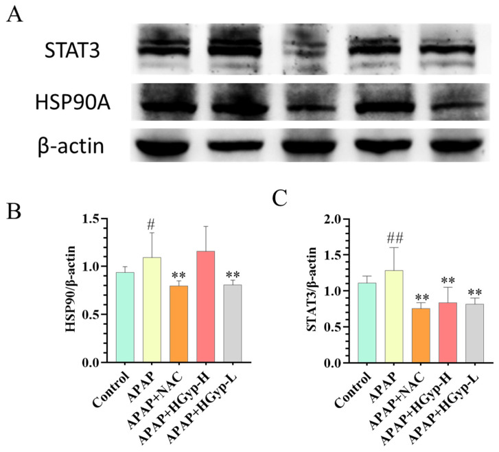 Figure 12