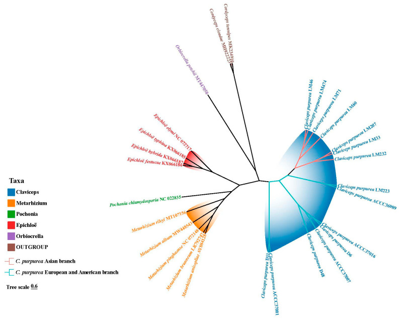 Figure 11