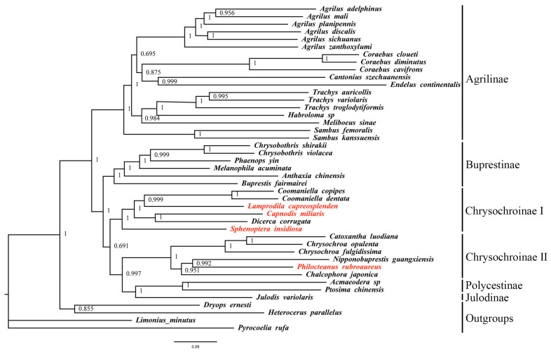 Figure 5