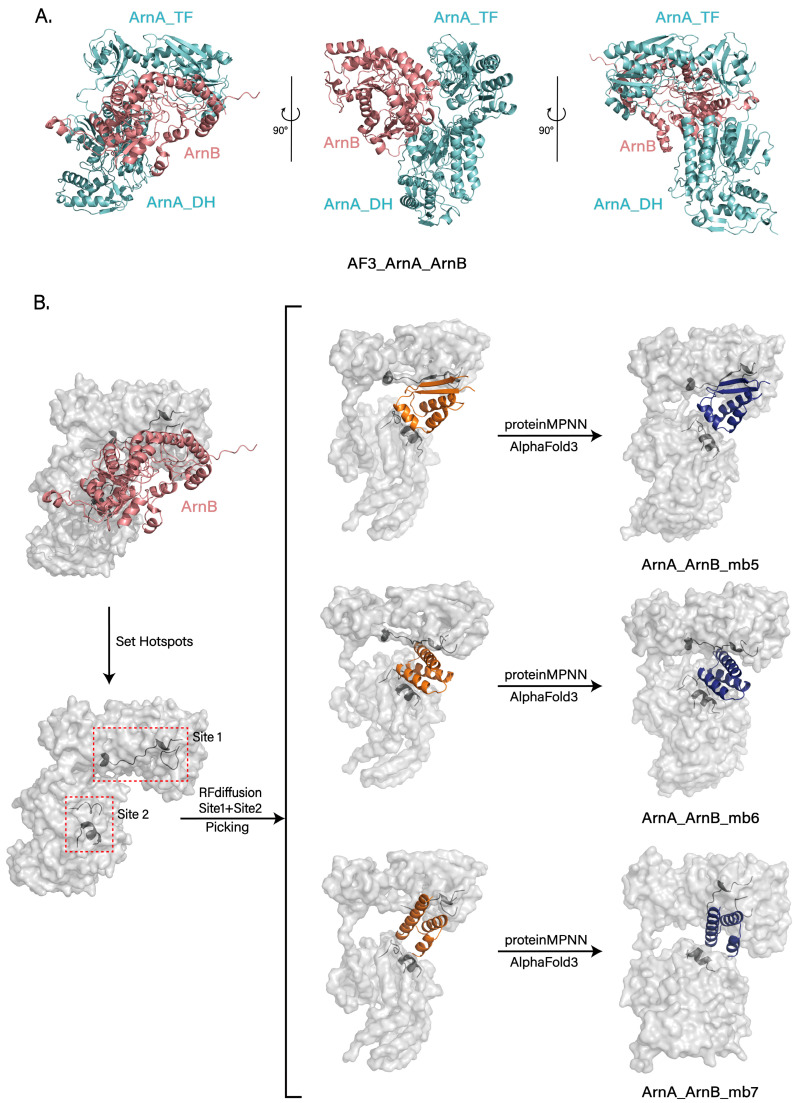Figure 5