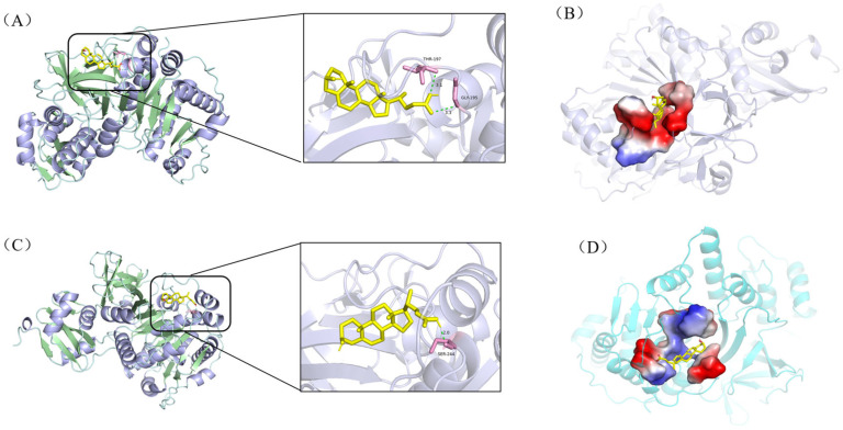 Figure 6