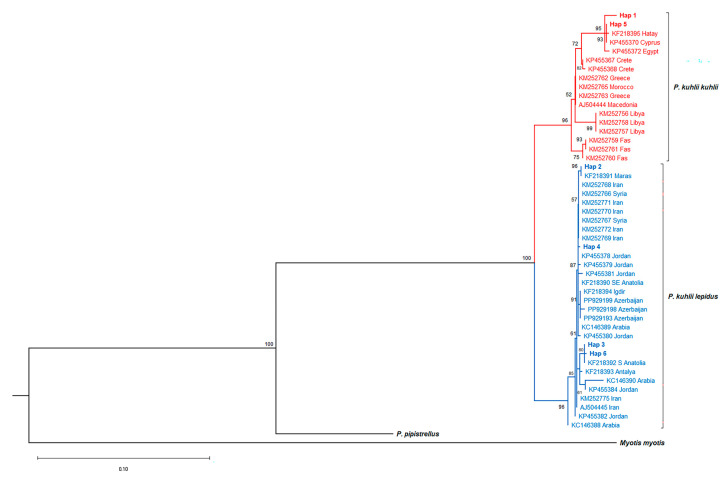 Figure 5