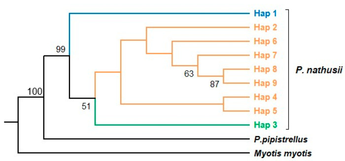Figure 6