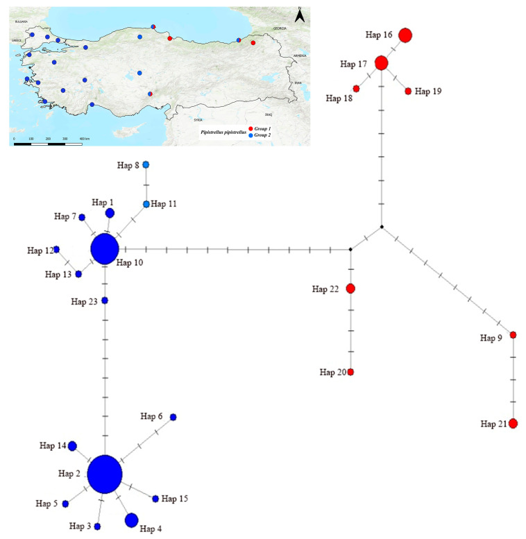 Figure 11