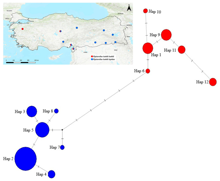 Figure 12