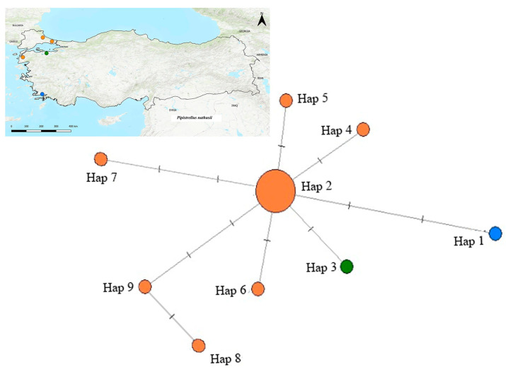 Figure 13