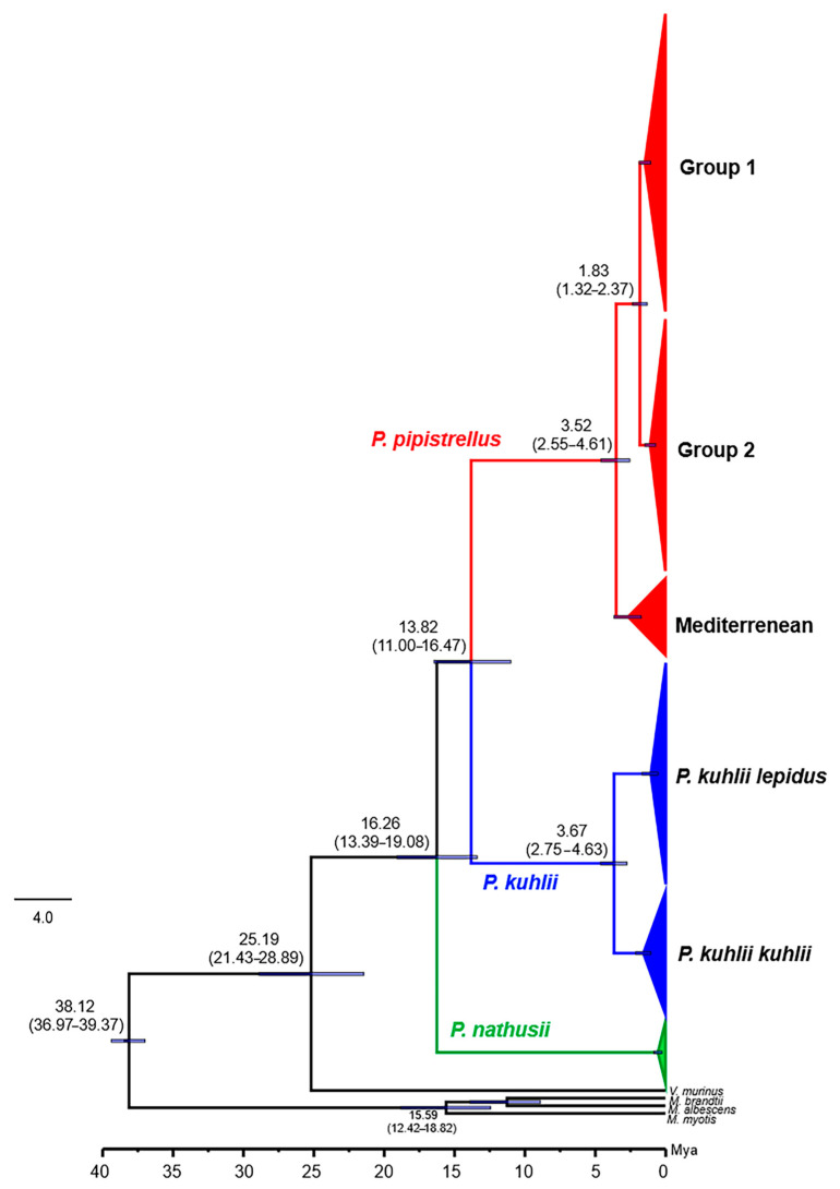 Figure 14