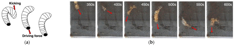 Figure 12