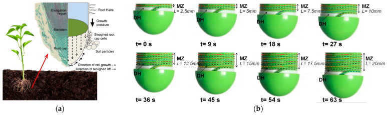 Figure 13