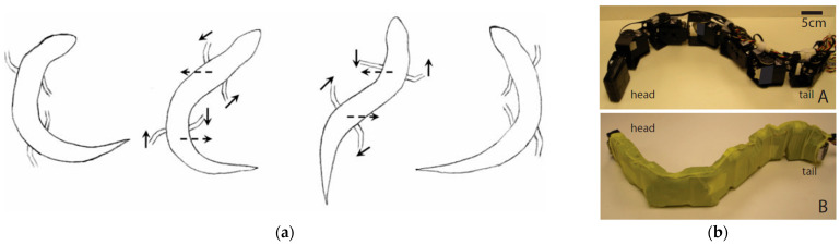 Figure 17
