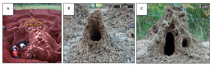 Figure 14
