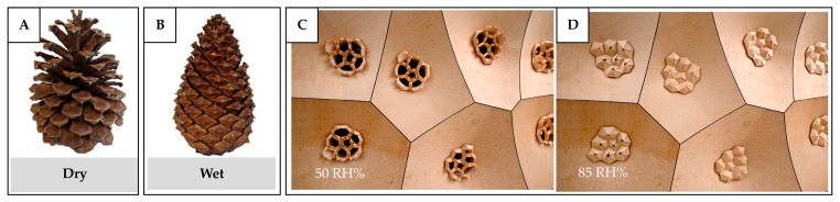 Figure 27