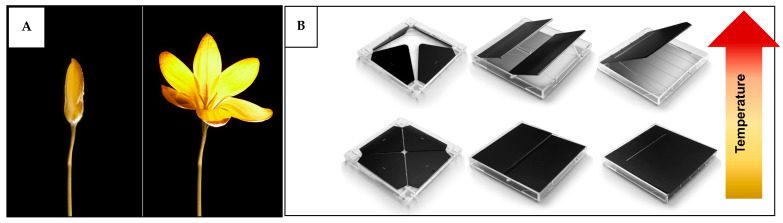 Figure 30
