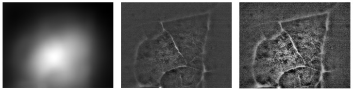 Figure 9