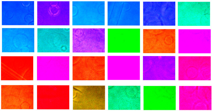 Figure 6
