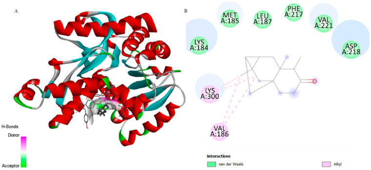 Figure 6