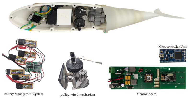 Figure 2