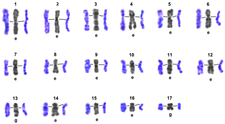 Figure 8