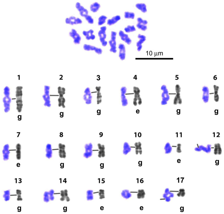 Figure 9