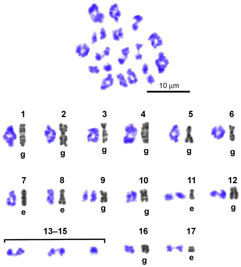 Figure 10