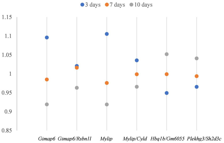 Figure 5