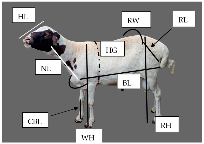 Figure 2
