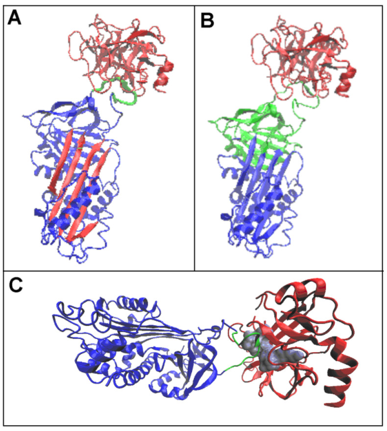 Figure 12