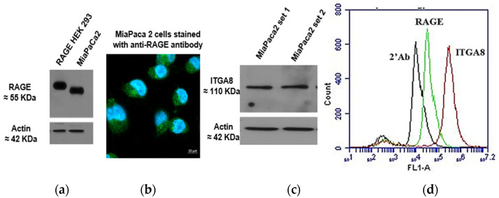 Figure 16