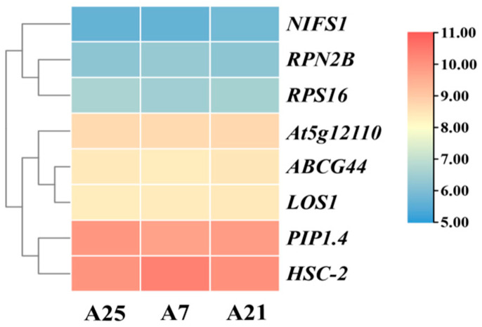 Figure 3