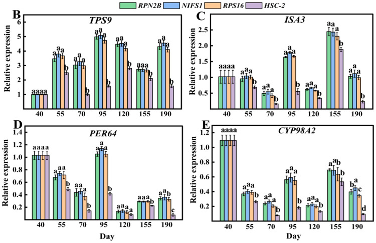 Figure 10