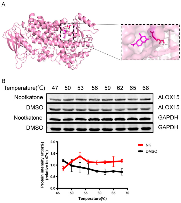 Figure 9