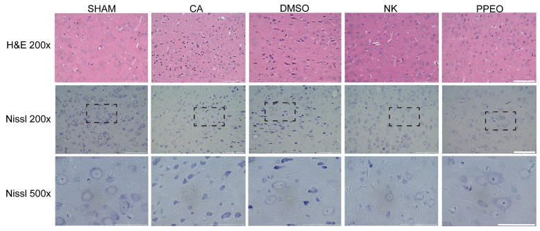 Figure 10