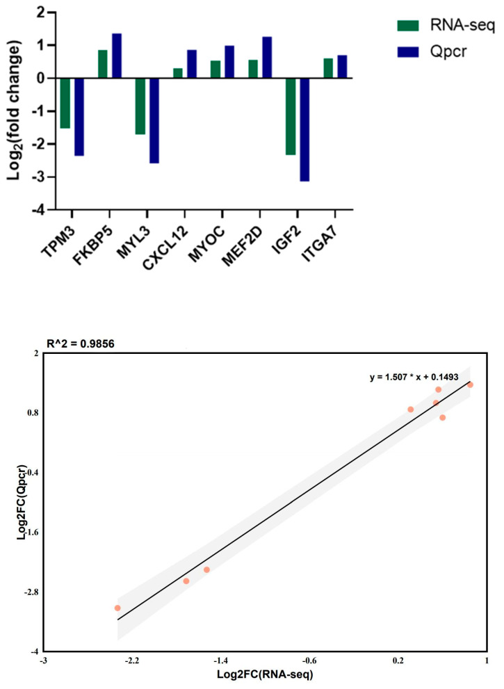 Figure 9
