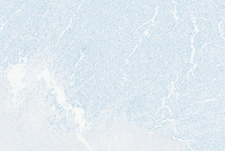 Figure 8