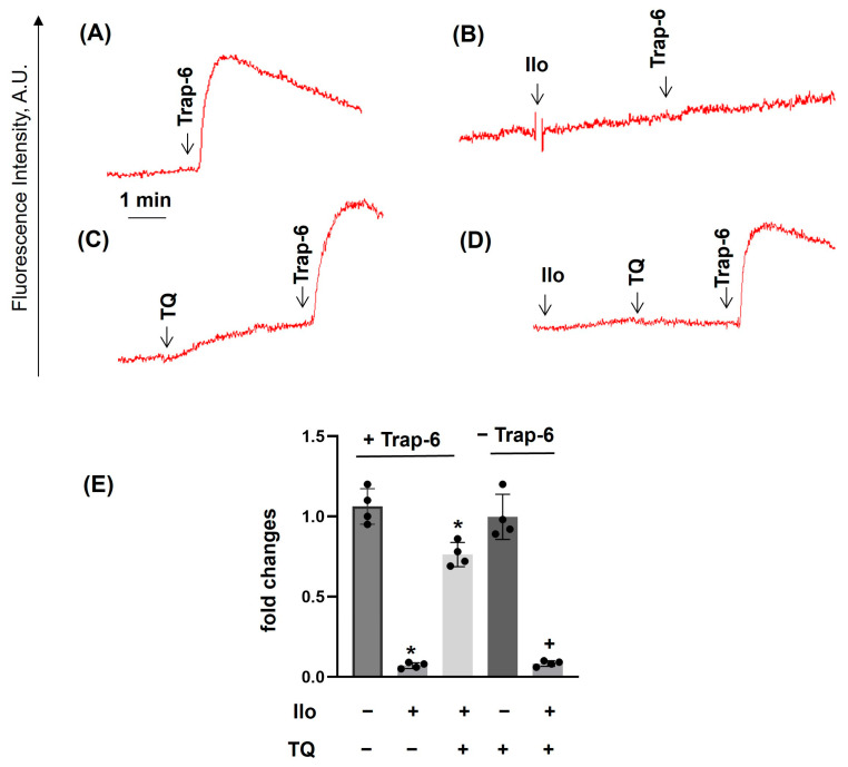 Figure 8