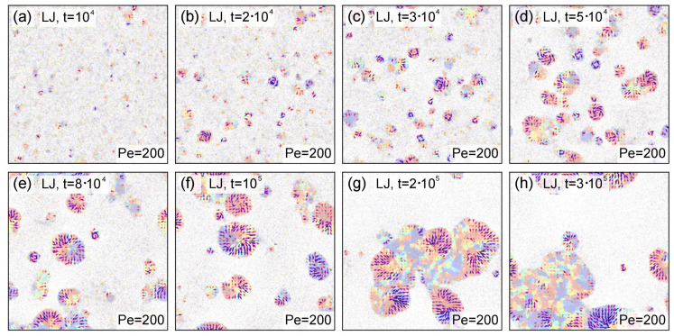 Figure 10