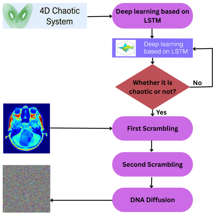 Figure 7