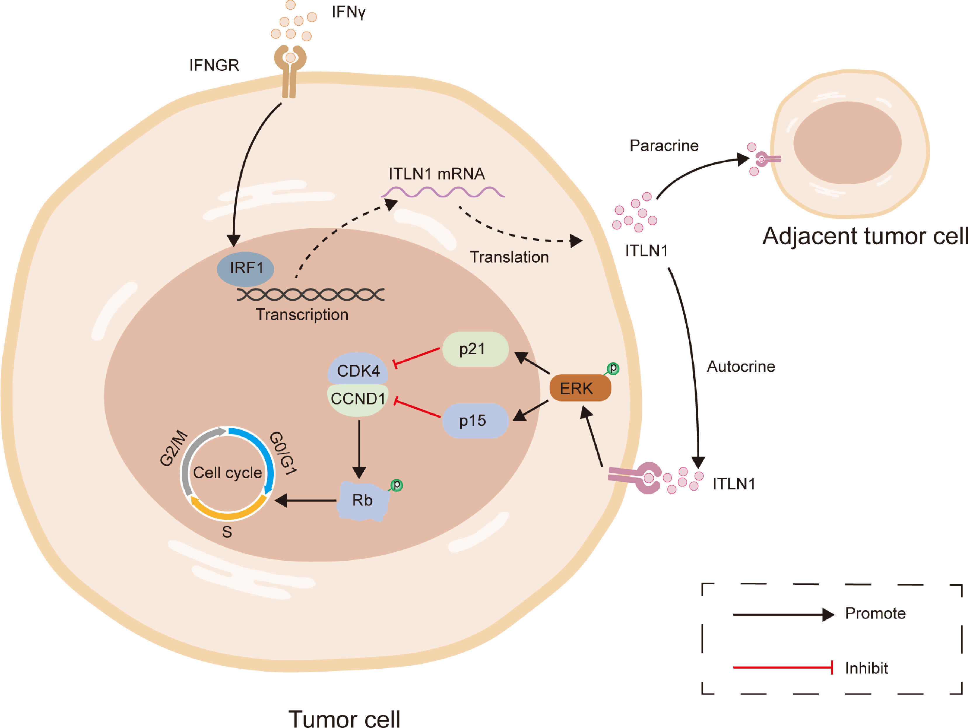 Figure 15