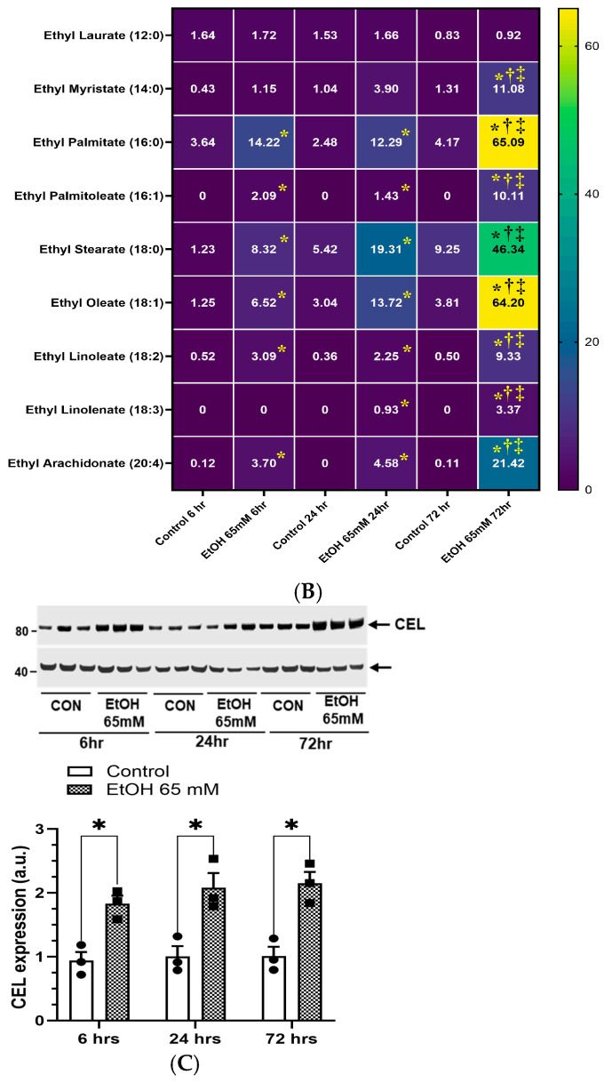 Figure 17