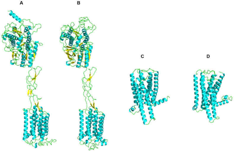 Figure 10