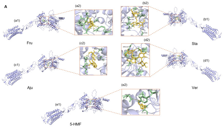 Figure 11