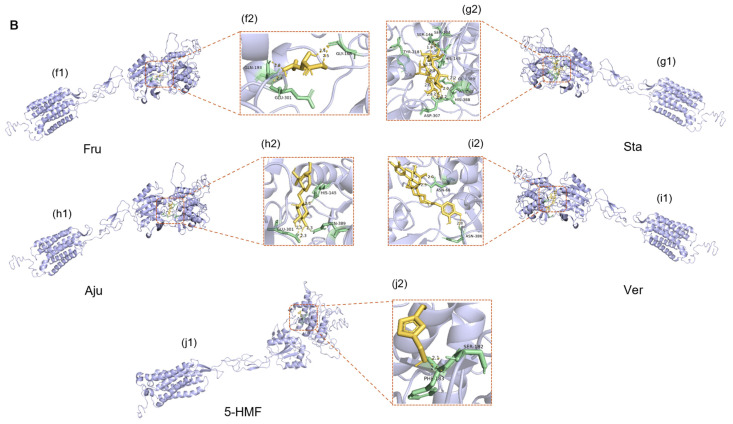 Figure 12
