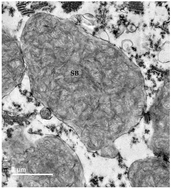 Figure 9