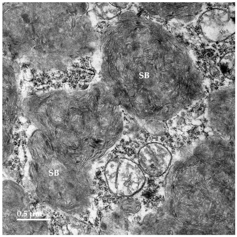 Figure 10